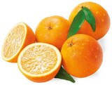 Aktuelles Bio Orangen Angebot bei REWE in Frankfurt (Main) ab 1,99 €
