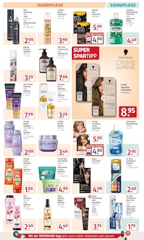 Taft Angebot im Rossmann Prospekt, gültig von 15.12.2025 bis 19.12.2025 Taft Angebot im aktuellen Rossmann Prospekt auf Seite 12