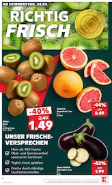 Kiwi im Kaufland Prospekt in Bergisch Gladbach Aktueller Kaufland Prospekt mit Kiwi, "EXTRA-ANGEBOTE", Seite 2