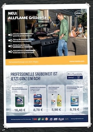Domestos Angebot im aktuellen Hamberger Prospekt auf Seite 30