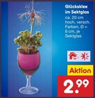 Glücksklee im Sektglas Angebote bei Netto Marken-Discount Wolfenbüttel für 2,99 €
