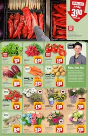Tomaten im REWE Prospekt in Wetzlar Aktueller REWE Prospekt mit Tomaten, "Dein Markt", Seite 9