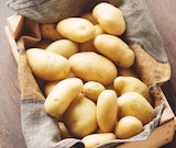 Promo Pomme de terre de consommation à 1,49 € dans le catalogue Intermarché Contact à Amagne