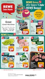 Aktueller REWE Discounter Prospekt in Lünen und Umgebung, "Dein Markt" mit 29 Seiten, 29.12.2025 - 03.01.2026