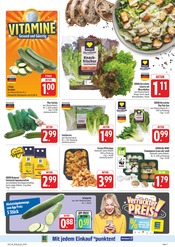 Zucchini im E center Prospekt in Chemnitz Aktueller E center Prospekt mit Zucchini, "Wir lieben Lebensmittel!", Seite 11