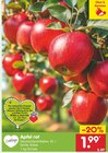 Apfel rot  im aktuellen Netto Marken-Discount Prospekt für 1,99 €