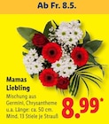 Mamas Liebling bei Lidl im Prospekt "" für 8,99 €