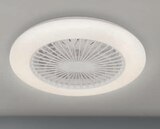 Deckenleuchte mit Ventilator im Angebot bei toom Baumarkt in Duisburg Deckenleuchte mit Ventilator Angebote von toom bei toom Baumarkt Duisburg für 49,99 €