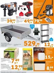 Aktueller Globus-Baumarkt Prospekt mit Regal, "Immer eine Idee besser", Seite 3