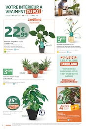Orchidée Angebote im Prospekt "J'AIME PLANTER LE DÉCOR" von Jardiland auf Seite 8