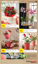 Jardinage Angebote im Prospekt "JUSQU'À 20€ OFFERTS EN BONS D'ACHAT SUR LE RAYON SURGELÉS" von Intermarché Super auf Seite 13