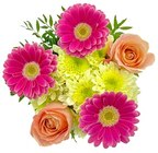 Kaufland Ingolstadt Prospekt mit  im Angebot für 5,99 €