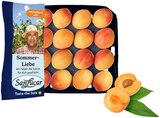 Aprikosen im Angebot bei REWE in Böblingen Aprikosen Angebote von SanLucar bei REWE Böblingen für 3,99 €