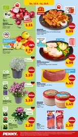 Aktueller Penny Prospekt mit Schweinebraten, "Wer günstig will, muss Penny.", Seite 30
