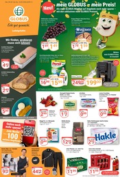 Aktueller GLOBUS Prospekt mit Lachs, "Aktuelle Angebote", Seite 1