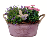 Arrangement 'Flowers & Garden' Angebote bei toom Baumarkt Dorsten für 15,99 €