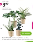 Kunstpflanze im Angebot bei mömax in Laatzen Kunstpflanze Angebote bei mömax Laatzen für 3,99 €