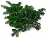 Schnittgrün Nobilis-Tanne  im aktuellen Hagebaumarkt Prospekt für 2,49 €
