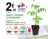 Promo Tomate Solanum Lycopersicum à 2,50 € dans le catalogue E.Leclerc à Pléneuf-Val-André