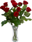 BOUQUET DE 10 ROSES - SANS MARQUE - Auchan Supermarché à Boulogne-Billancourt BOUQUET DE 10 ROSES - SANS MARQUE en promo chez Auchan Supermarché Boulogne-Billancourt à 3,49 €