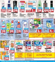 Aktueller HIT Prospekt mit Shampoo, "ECHTE VIELFALT", Seite 15