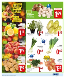 EDEKA Pilze im Prospekt 