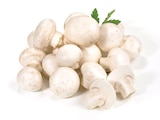 CHAMPIGNON BLANC BARQUETTE 400G à Provenc’halles dans La Grave