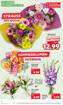 Blumen im aktuellen Kaufland Prospekt (Remscheid) Blumen im Kaufland Prospekt "KNÜLLER" mit 56 Seiten (Remscheid)