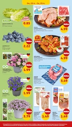 Schweinenacken Angebot im aktuellen Penny Prospekt auf Seite 32