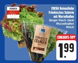 Fränkisches Salatrio mit Wurzelballen bei E center im Veitshöchheim Prospekt für 1,99 €