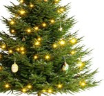 Getränke Lehmann - Getränke A-Z - 12 J. Angebot im Prospekt 12 J. bei Getränke Lehmann - Getränke A-Z im Prospekt "" für 29,99 €