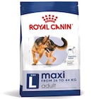 Gamm vert Hauterives - Promo Croquettes Maxi Royal Canin® Promo Croquettes Maxi Royal Canin® à 52,99 € dans le catalogue Gamm vert à Hauterives