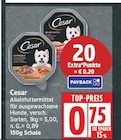Alleinfuttermittel für ausgewachsene Hunde von Cesar im aktuellen EDEKA Prospekt für 0,75 €