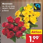 Moosrosen  im aktuellen Netto Marken-Discount Prospekt für 1,99 €