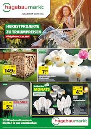 Hagebaumarkt Prospekt für Freising: "HERBSTPROJEKTE ZU TRAUMPREISEN", 8 Seiten, 14.09.2024 - 21.09.2024