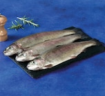 Truite portion - FILIERE U en promo chez Hyper U Saintes à 2,95 €