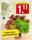 WEZ Hille Prospekt mit  im Angebot für 1,11 €