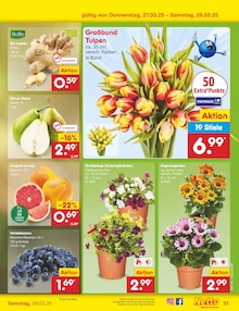 Blumen im Netto Marken-Discount Prospekt "Aktuelle Angebote" mit 60 Seiten (Wuppertal)