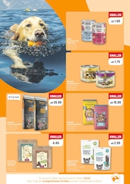 ZooRoyal Hundefutter im Prospekt ZooRoyal Hundefutter im Prospekt
