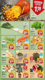 Gartenpflanzen im REWE Prospekt in Unna Aktueller REWE Prospekt mit Gartenpflanzen, "Dein Markt", Seite 5