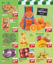 Zitronen im famila Nordost Prospekt in Kiel Aktueller famila Nordost Prospekt mit Zitronen, "besser als gut!", Seite 4