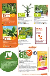 Promos Plante En Pot dans le catalogue "J'AIME QUAND C'EST RELAX" de Jardiland à la page 5