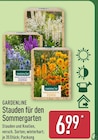 Stauden für den Sommergarten im ALDI Nord Prospekt Stauden für den Sommergarten von Gardenline im aktuellen ALDI Nord Prospekt für 6,99 €