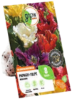 Blumenzwiebeln Angebot in Rethwisch Blumenzwiebeln im aktuellen Prospekt bei OBI in Rethwisch
