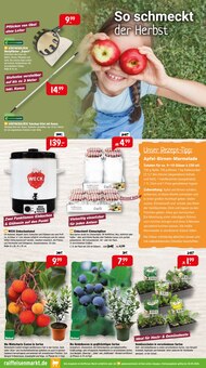 Pflanzen im aktuellen Raiffeisenmarkt Prospekt (Osnabrück) Pflanzen im Raiffeisenmarkt Prospekt "Herbstzauber im Garten." mit 4 Seiten (Osnabrück)