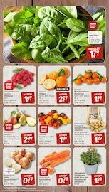 Aktueller nahkauf Prospekt mit Tierfutter, "nichts liegt näher", Seite 3