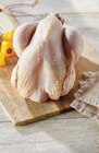 Poulet fermier label rouge igp en promo chez Intermarché Laval à 5,99 €