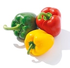 Paprika-Mix im Netto mit dem Scottie Prospekt zum Preis von 1,79 €