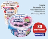 Quark oder skyl Angebote von Exquisa bei EDEKA Leipzig