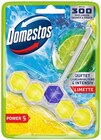 WC Stein Power 5 im Angebot bei REWE in Gelsenkirchen WC Stein Power 5 Angebote von Domestos bei REWE Gelsenkirchen für 0,99 €